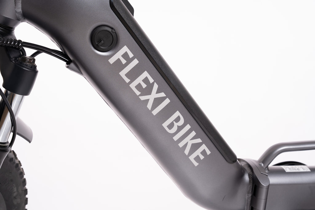 FlexiBike Fold 1 Ebike