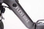 FlexiBike Fold 1 Ebike