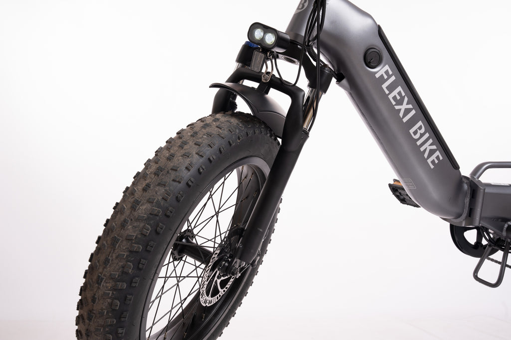 FlexiBike Fold 1 Ebike