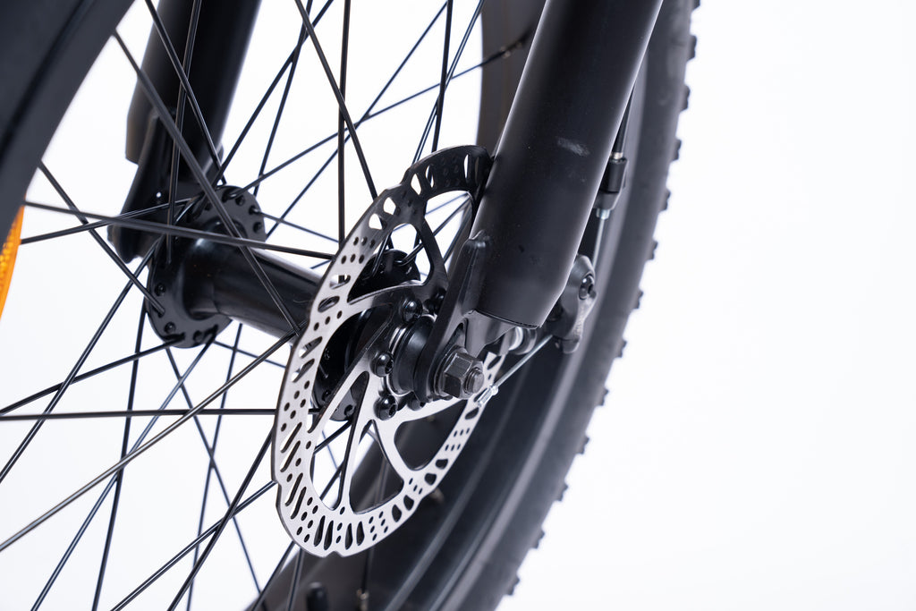 FlexiBike Fold 1 Ebike