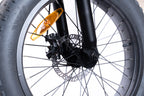 FlexiBike Fold 1 Ebike