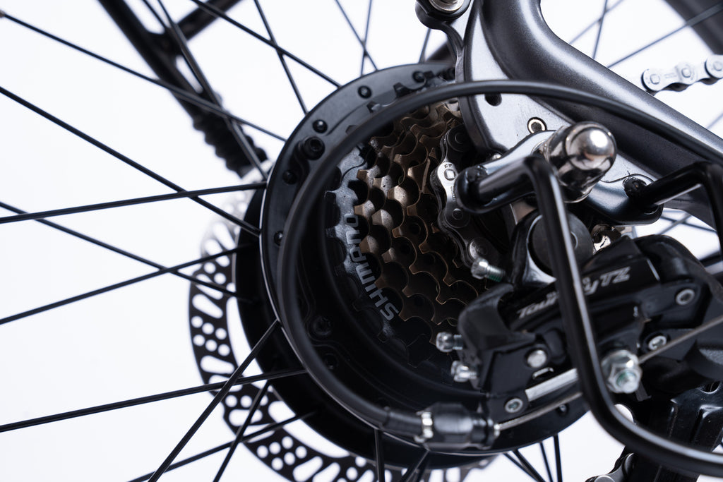 FlexiBike Fold 1 Ebike