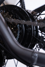 FlexiBike Fold 1 Ebike