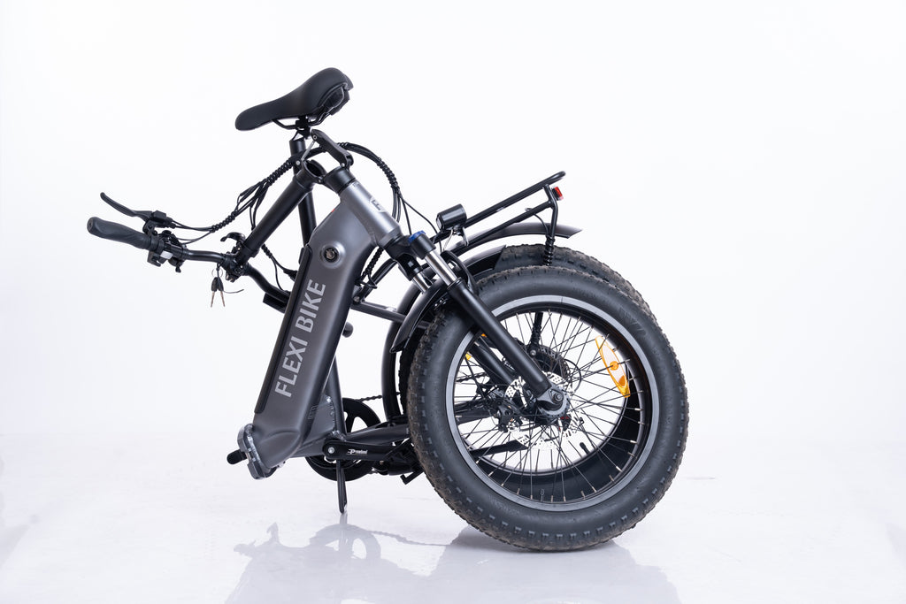 FlexiBike Fold 1 Ebike