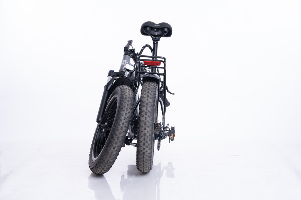 FlexiBike Fold 1 Ebike
