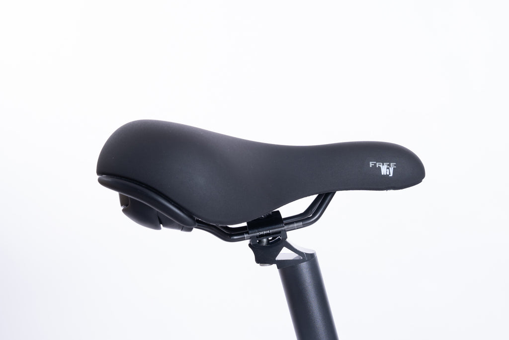 FlexiBike Fold 1 Ebike
