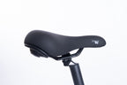 FlexiBike Fold 1 Ebike