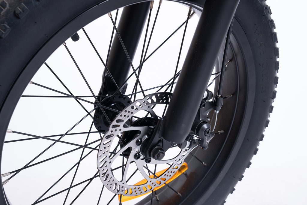 FlexiBike Fold 1 Ebike