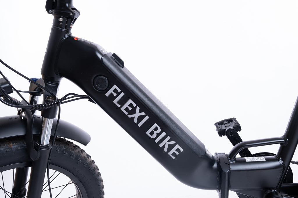 FlexiBike Fold 1 Ebike