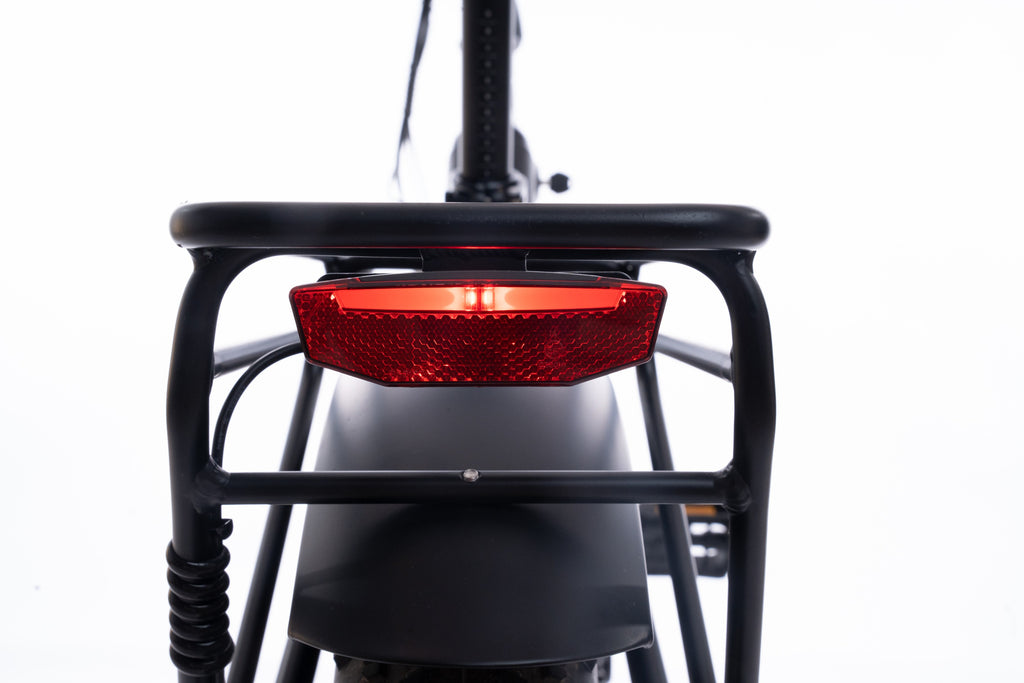 FlexiBike Fold 1 Ebike