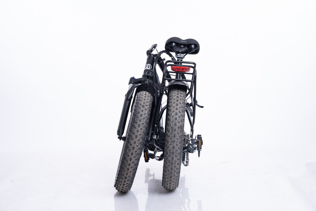 FlexiBike Fold 1 Ebike