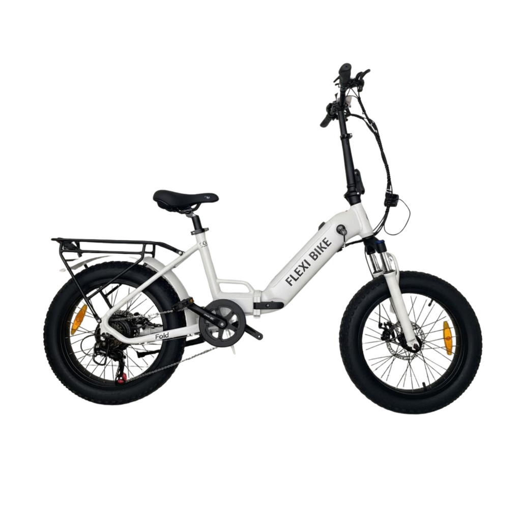 FlexiBike Fold 1 Ebike